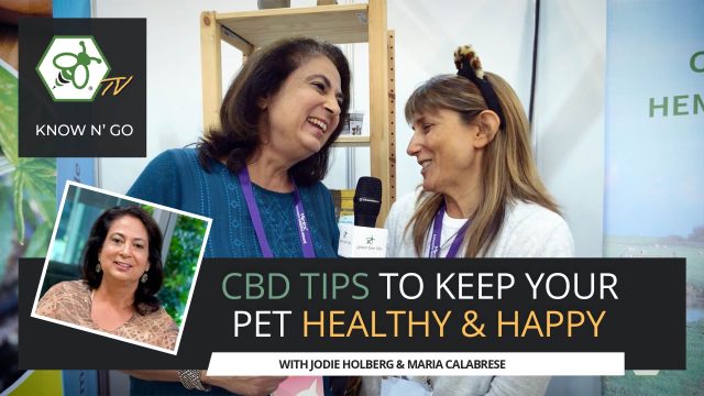 Cover for video Is CBD Good for Dogs and Cats?