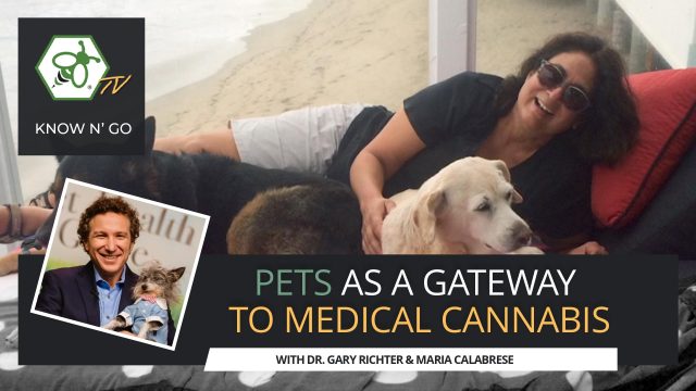 Cover for video Pets as a Gateway to Medical Cannabis with Dr. Gary Richter