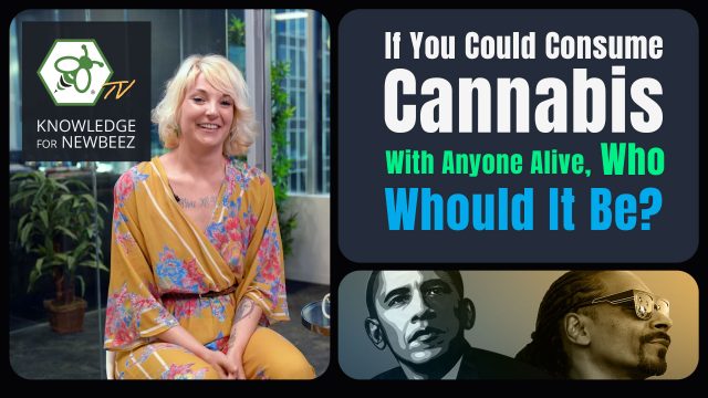 Cover for video If you Could Smoke Cannabis with Anyone Alive Who Would it Be?