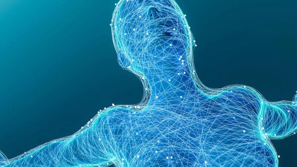 The Entourage Effect of Cannabis Explained