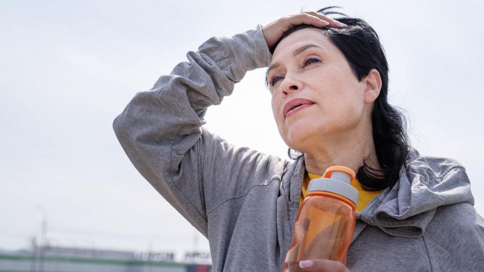 How the Endocannabinoid System & Menopause Are Connected