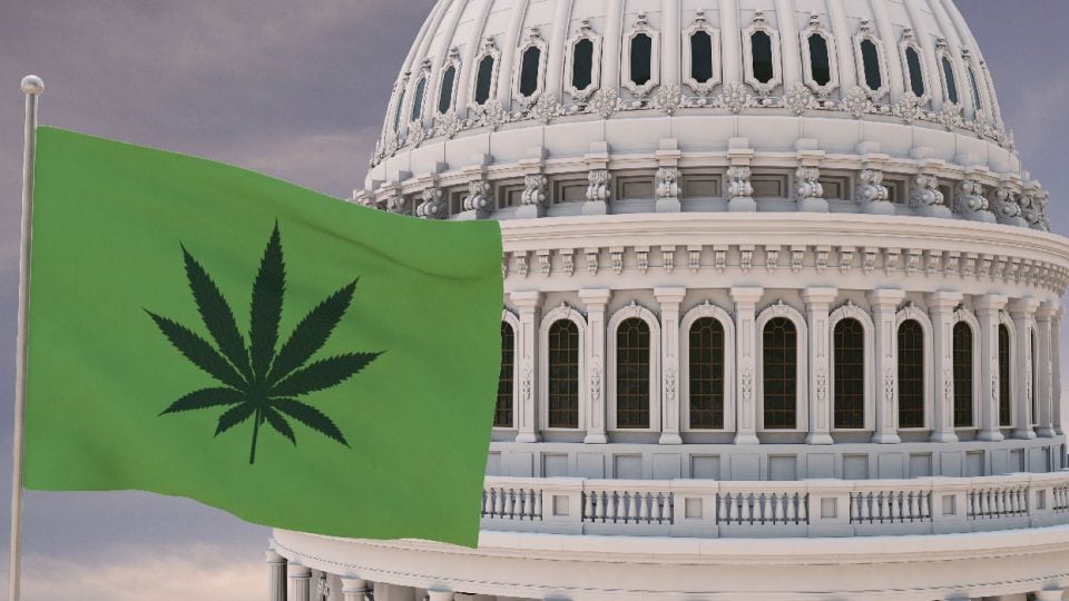 Laws of the Land: A Legal History of Hemp in America