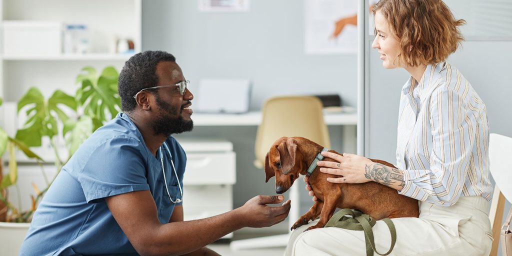 A veterinarian wearing blue scrubs kneels in front of a woman holding her dog. It appears that the veterinarian and woman are having a conversation.