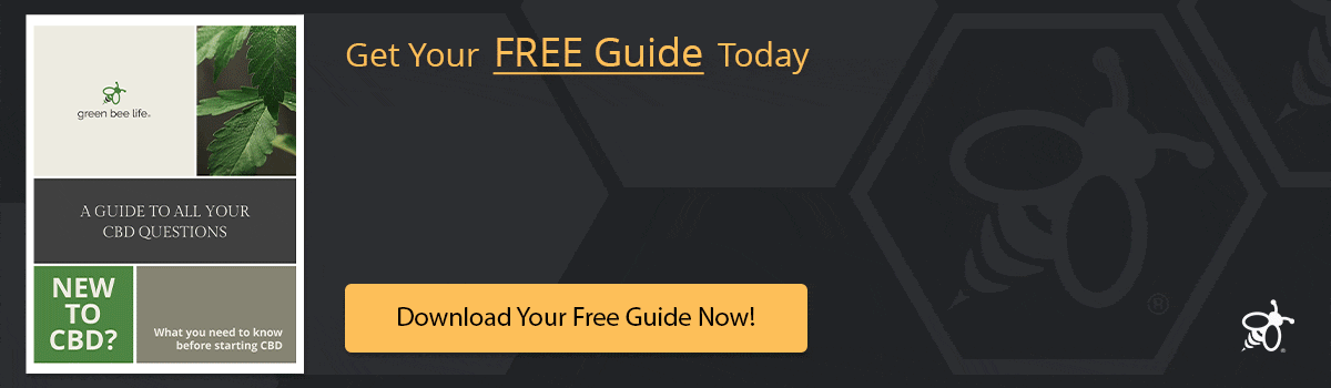 Download your free guide New To CBD