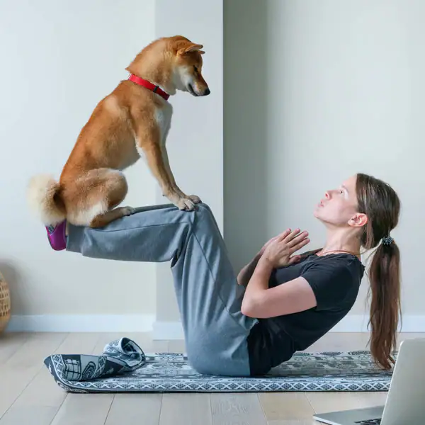 CBD for Pets product category