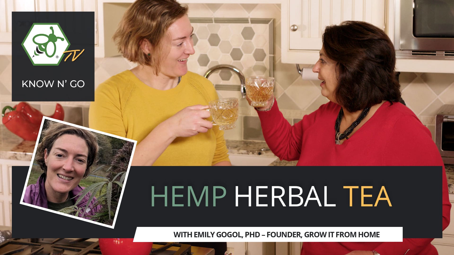 Cover for video How to Make Herbal Hemp Tea with Medicinal Benefits