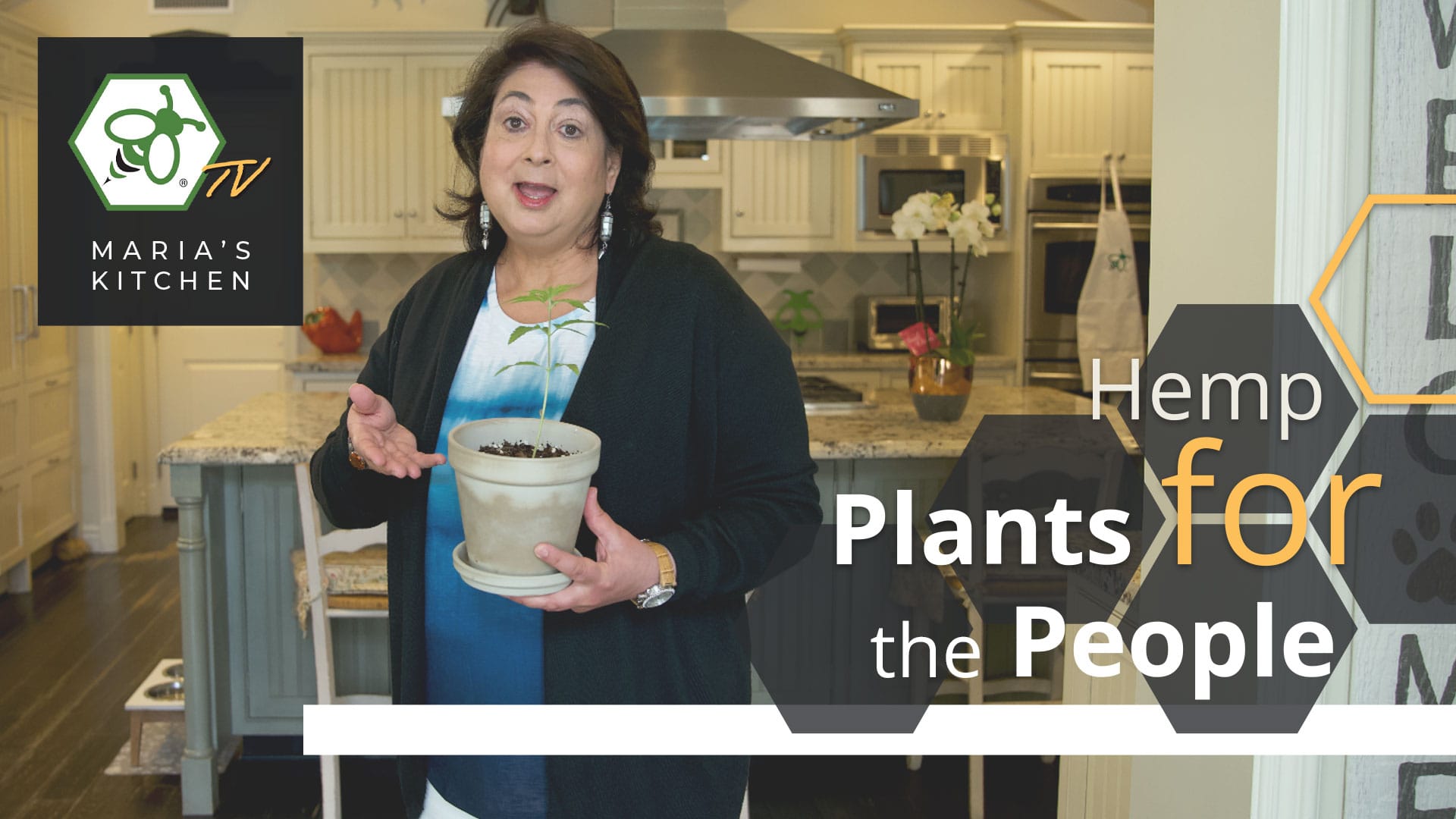 Cover for video Hemp Plants for the People