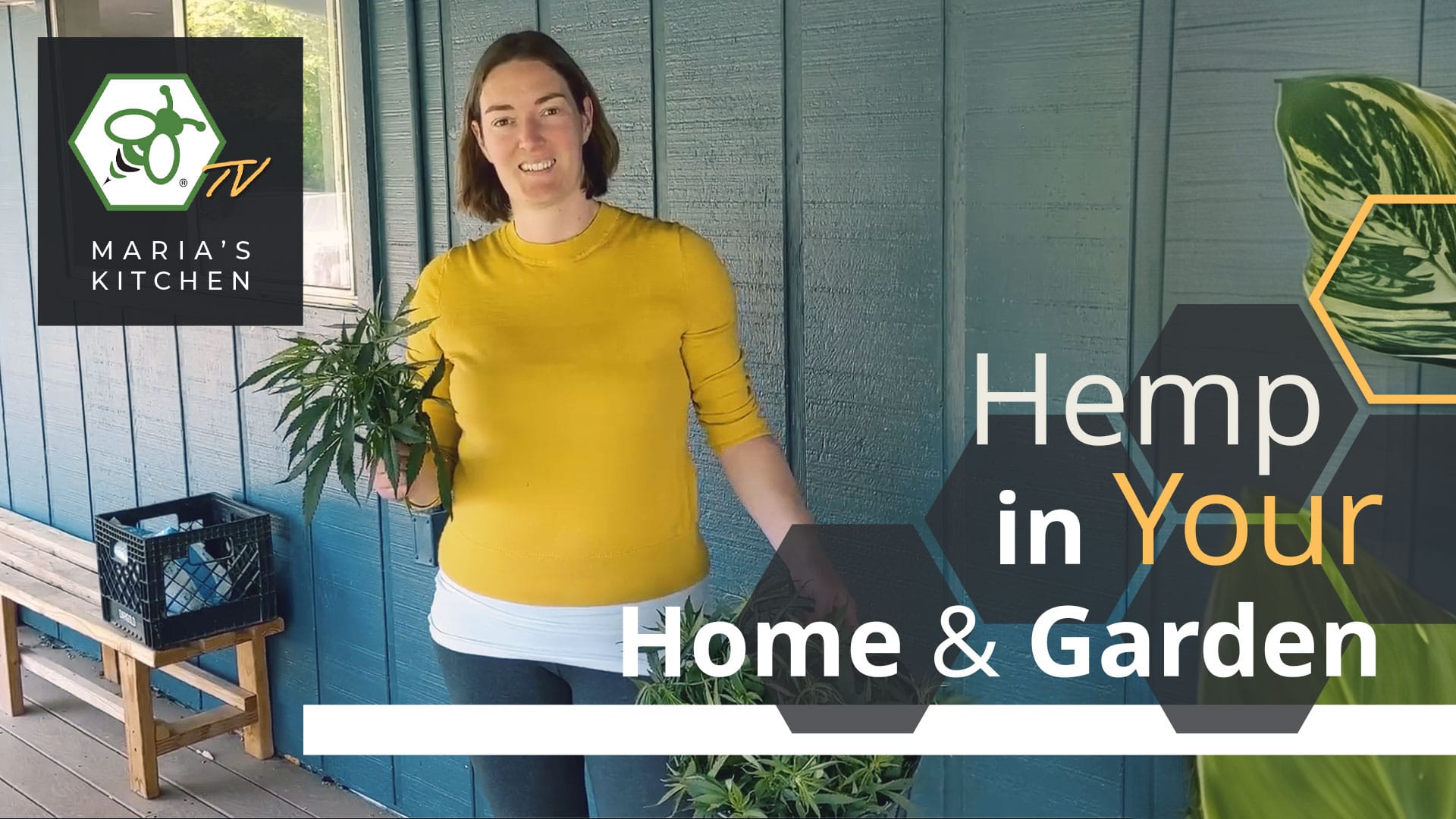 Cover for video Hemp In Your Home and Garden