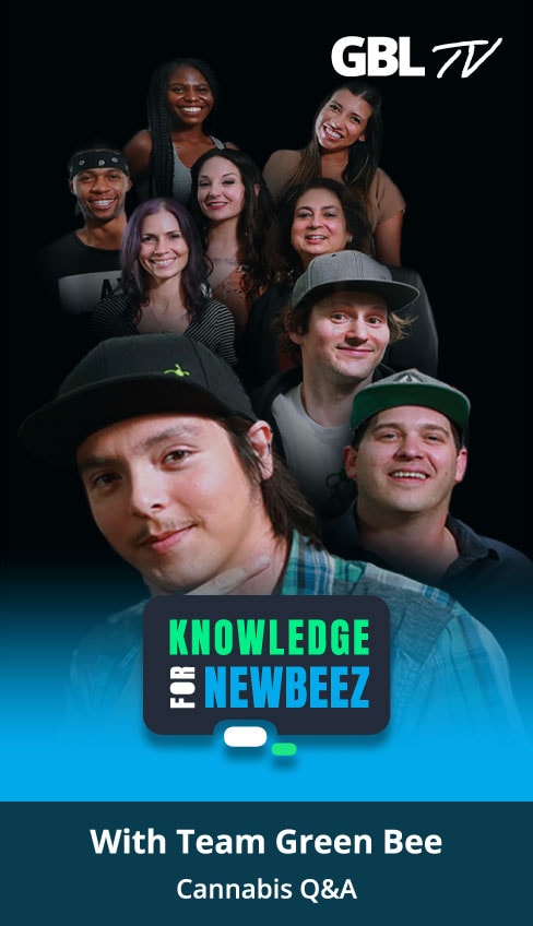 Go to the Knowledge for NewBeez video category on GBL TV