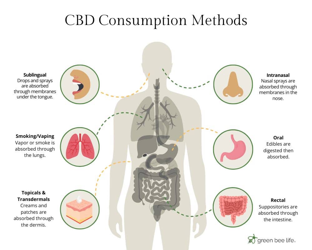 CBD consumption methods