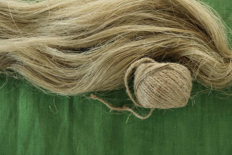 Hemp fiber and yarn