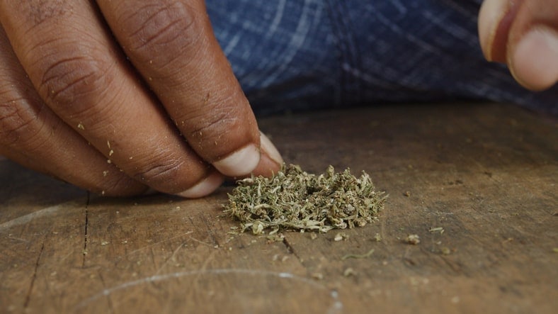 Tearing up weed by hand