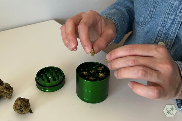 How to grind herbs for smoking