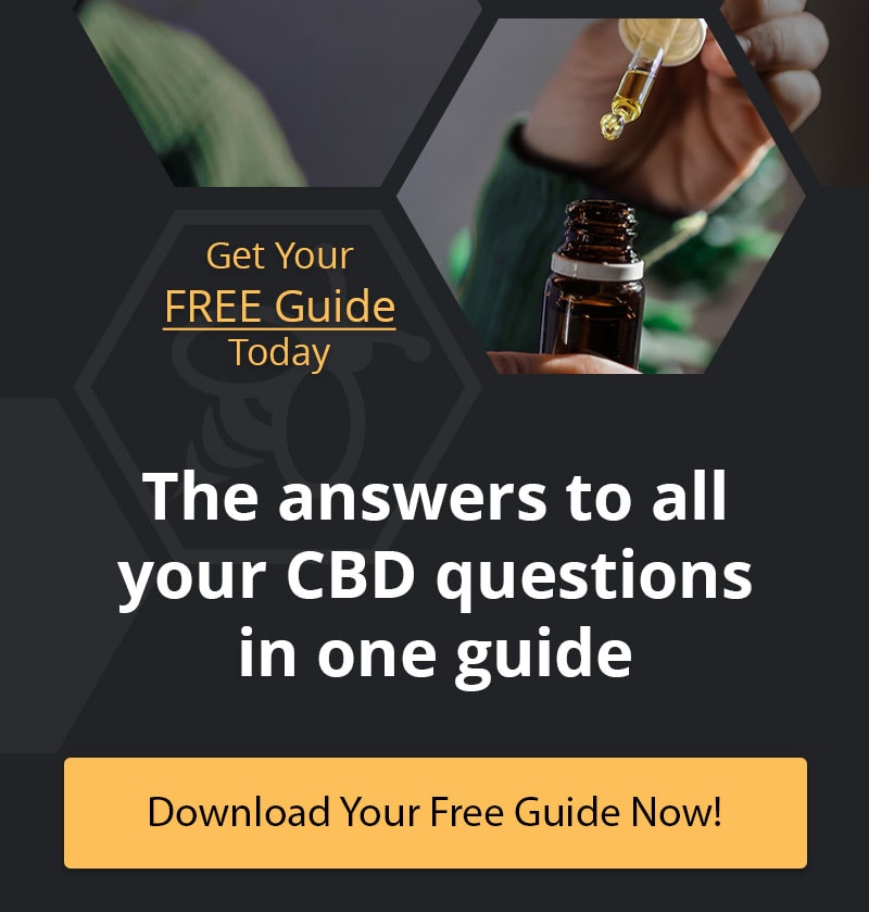 Download your free CBD guide