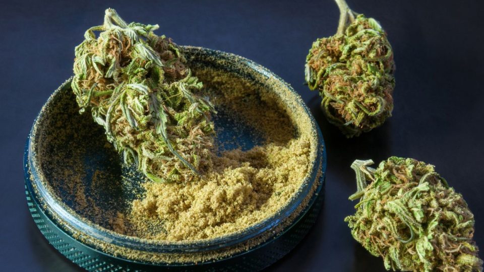 Grinders with Kief Catchers: Top Picks of 2025