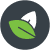 Leaf Icon