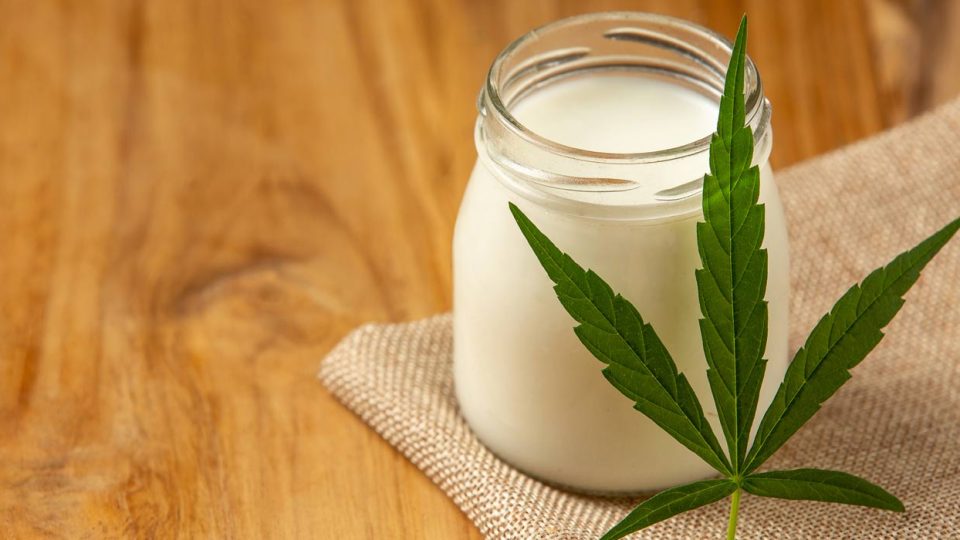 Your Go-To Recipe for Cannabis  Milk