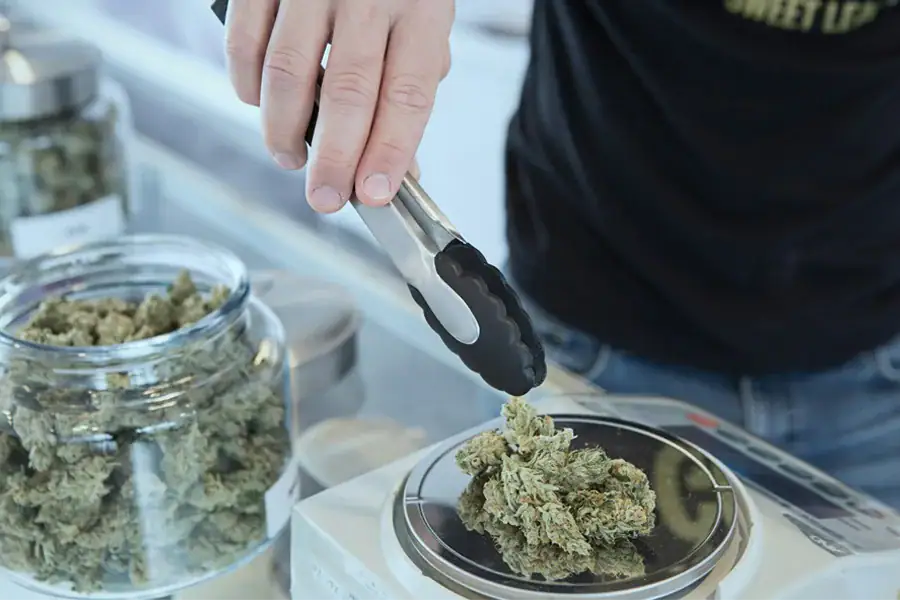 How Much Weed is Needed for Brownies