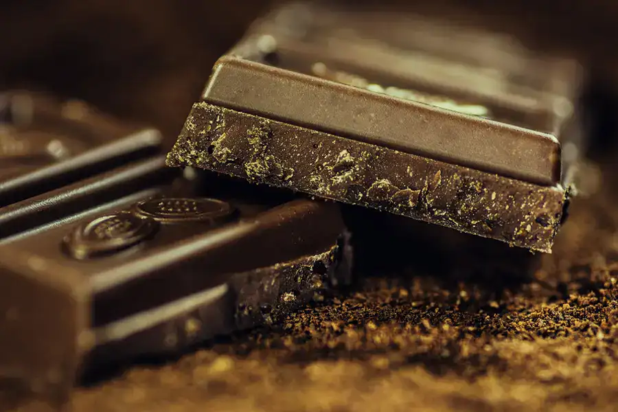 Close-up of finished chocolate bars with smooth tops and textured interiors on a cocoa-dusted surface