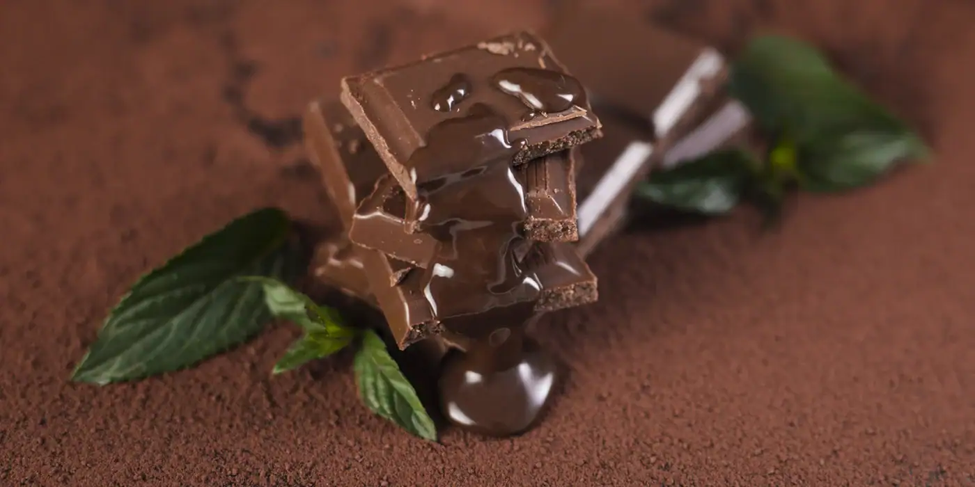 Cannabis-infused chocolate squares drizzled with melted chocolate on a cocoa powder surface