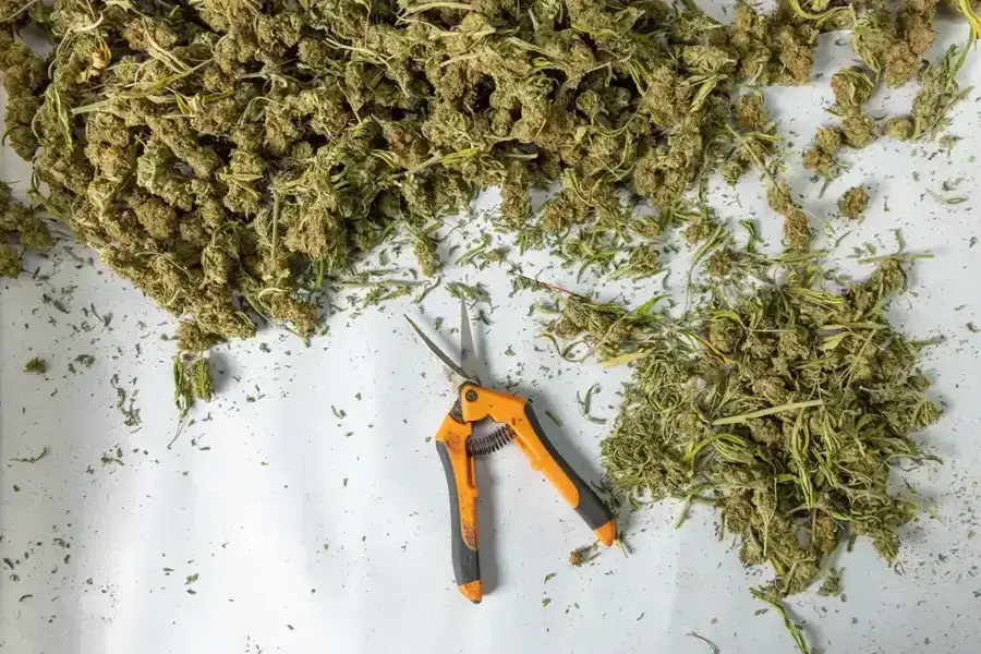 How to Make Cannabutter with a Shake