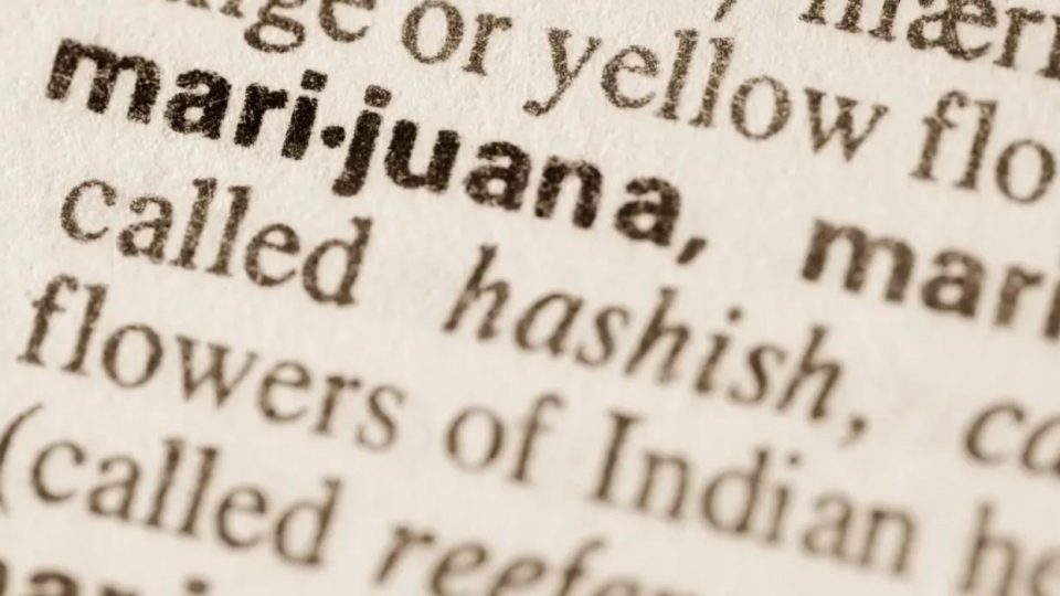 Cannabis Terminology 101: Funny, Classic & Modern Weed Slang