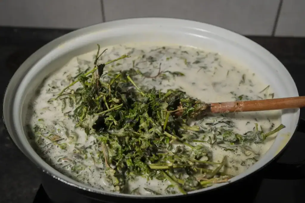 How to Make Cannabutter with a Shake