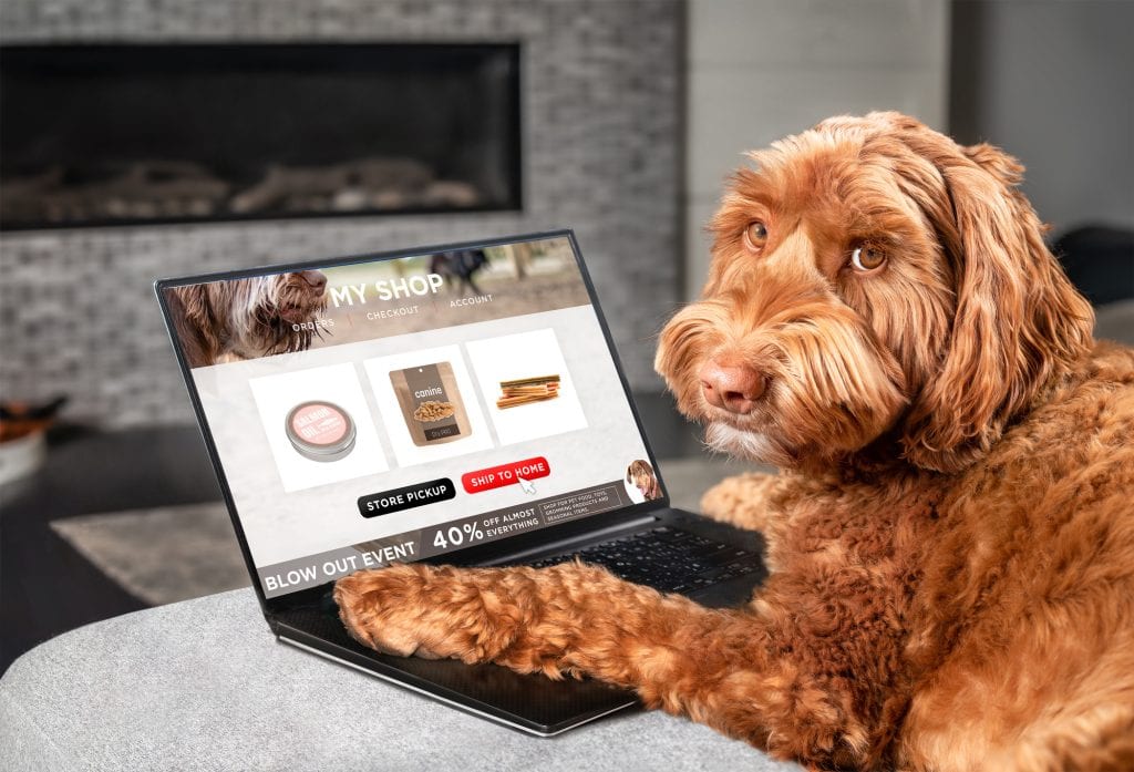 Adorable dog looking at pet products online on laptop computer.