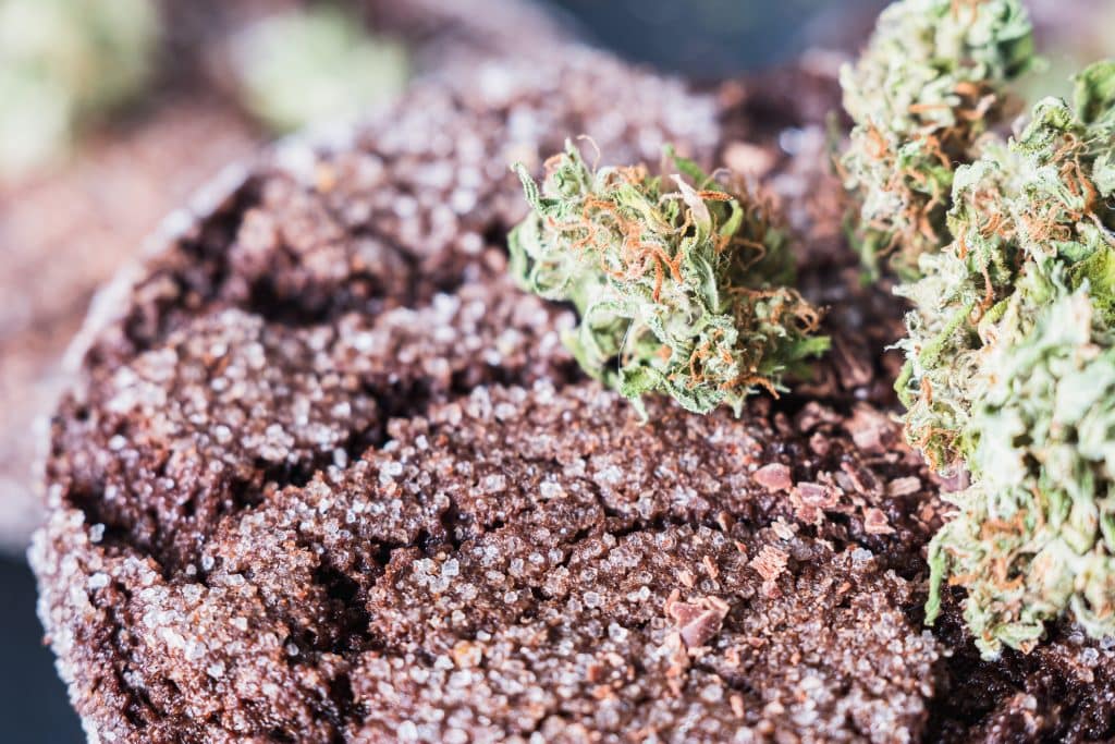 chocolate chip cookies with marijuana, sprinkled with chocolate chips and cannabis, are on a slate dish. Horizontal orientation.