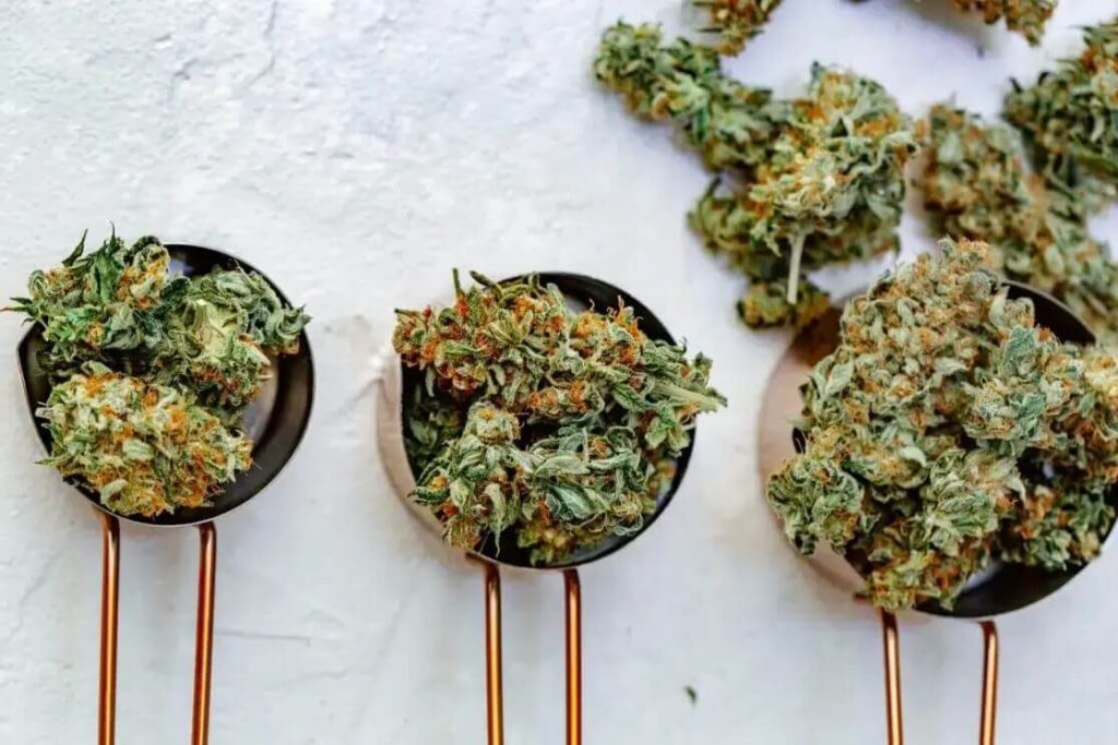 Cannabis buds placed in metal measuring spoons to show how much weed is needed for making edibles at home.

