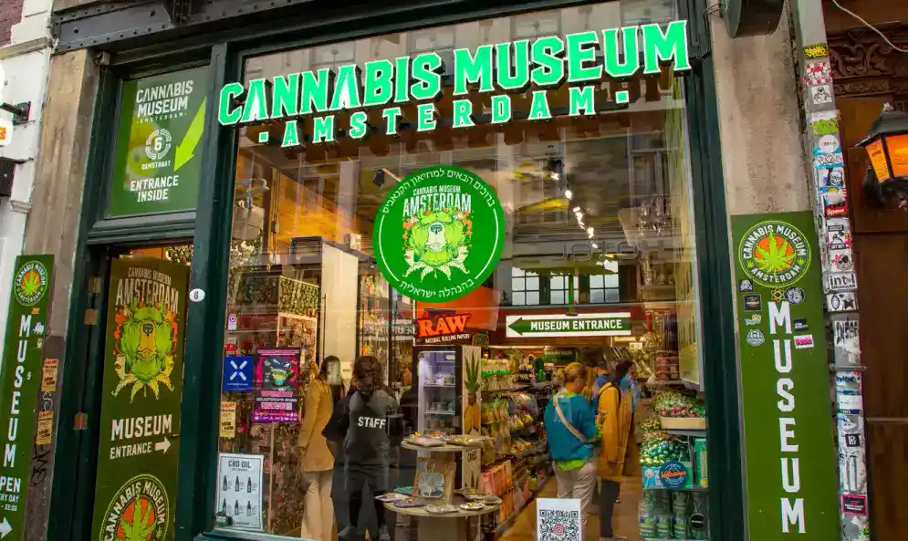 Regional & Cultural Variations of Marijuana Slang