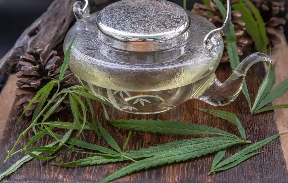 Marijuana Tea Benefits