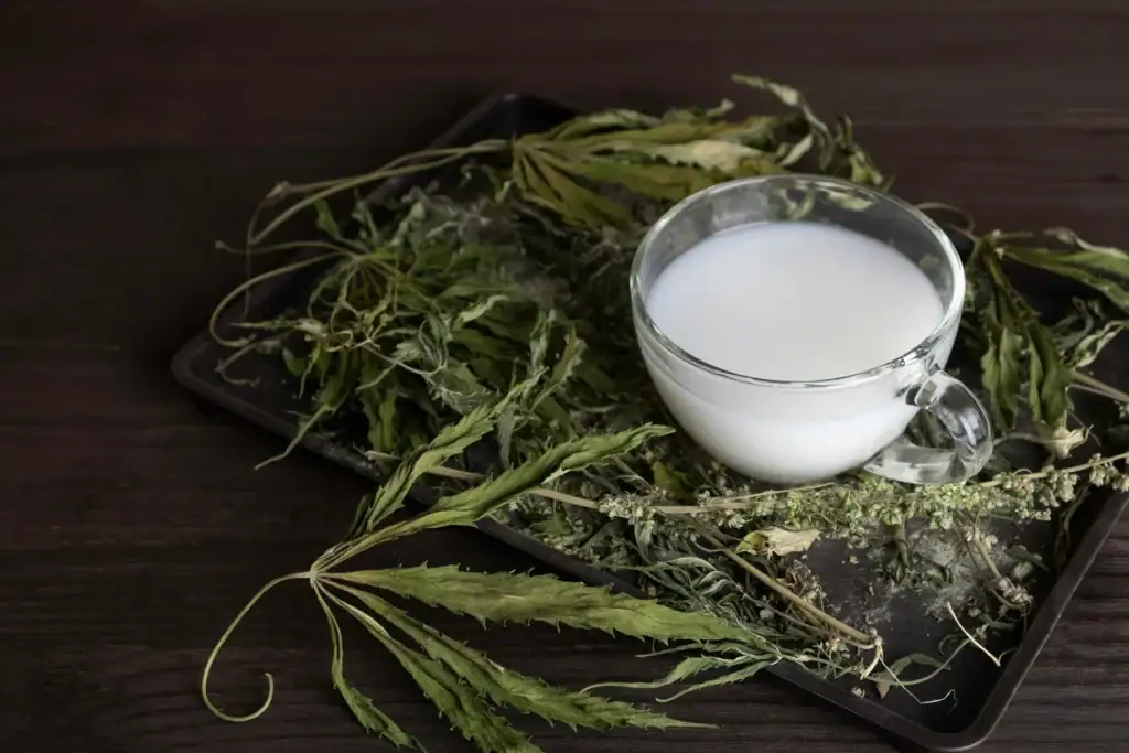 Base Recipe: How to Make Weed Tea with Coconut Milk & Cannabis Flower