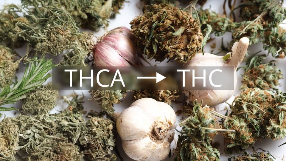Photo of cannabis buds, garlic, and rosemary with text overlay reading THCA to THC, illustrating the decarboxylation process that activates cannabinoids in cannabis