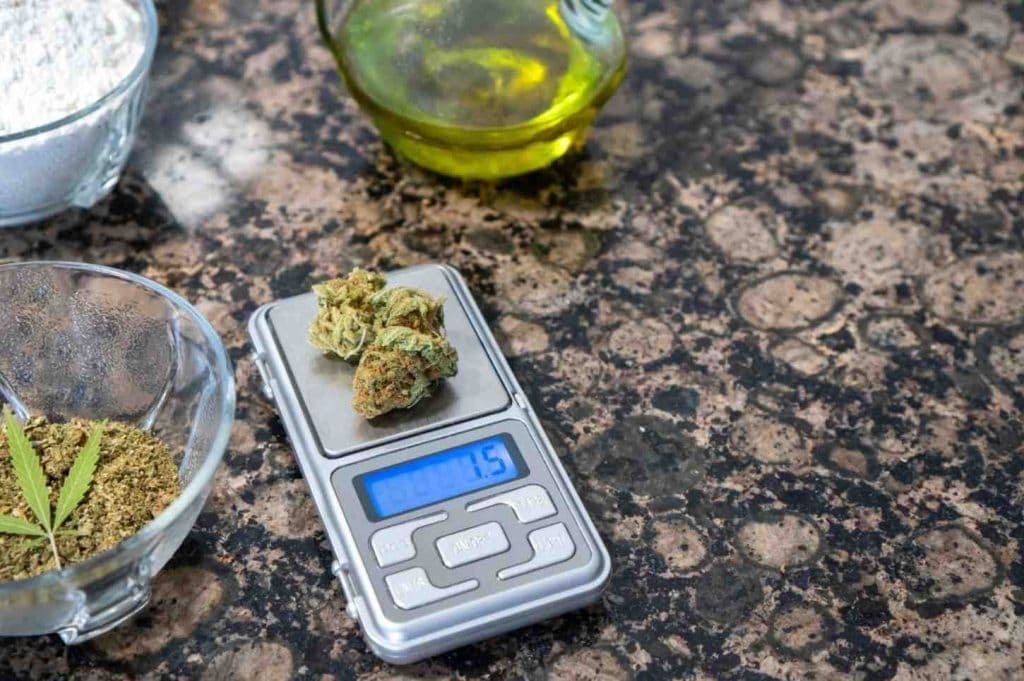 Cannabis flower being weighed on a digital kitchen scale beside ground herb and olive oil — step in calculating THC dosage for homemade infusions.