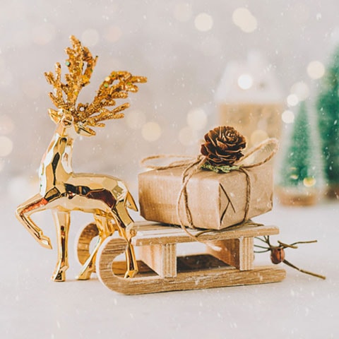 Gift for Connoisseurs