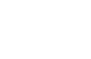 Knowledge for Newbeez logo