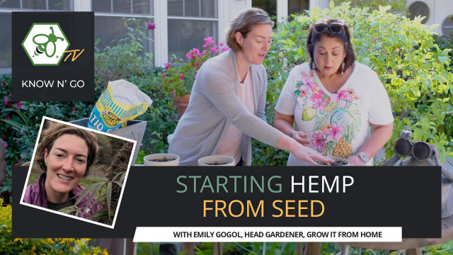 Cover for video How to Start Hemp from Seed